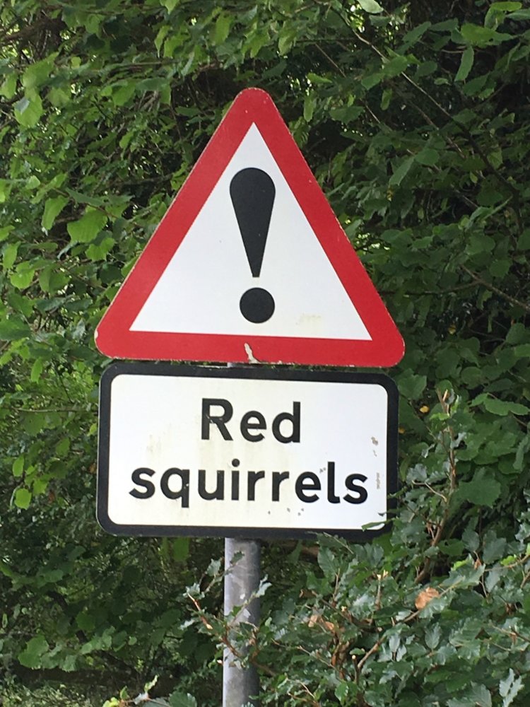 15 Dangerous animal sign in England.jpg